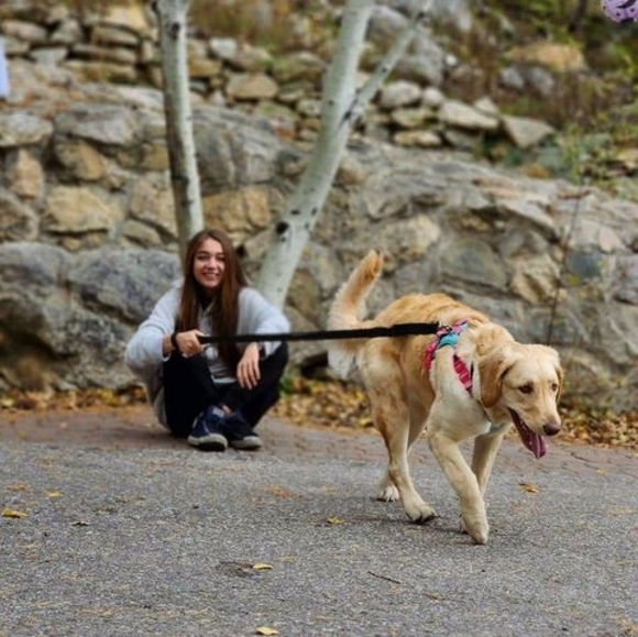 Meet your Posher, Hannah - Picture 1 of 1